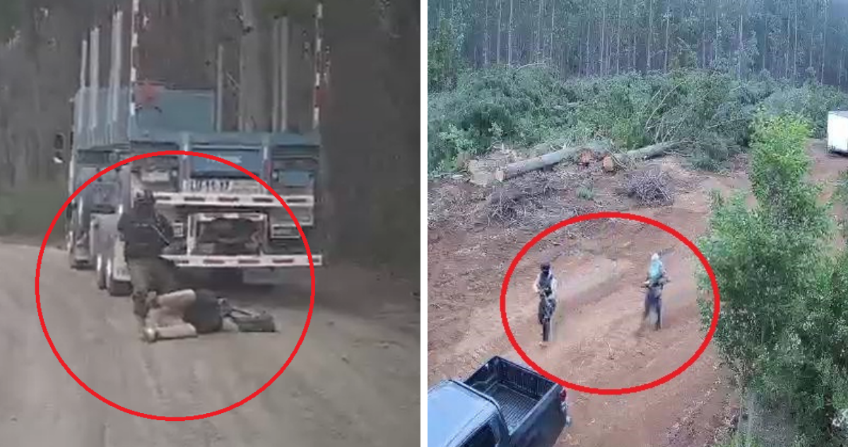 Relatos ataques en Arauco.