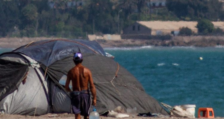 Aumento de carpas en Puerto Varas preocupa a vecinos y autoridades