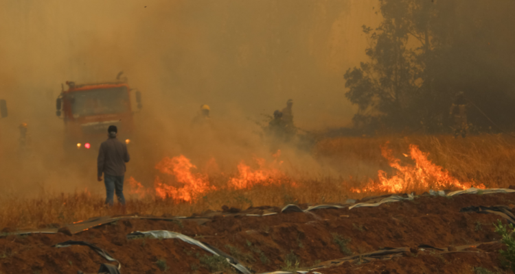 Incendio forestal en Quillón