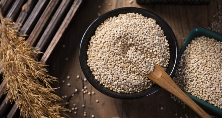 Quinua