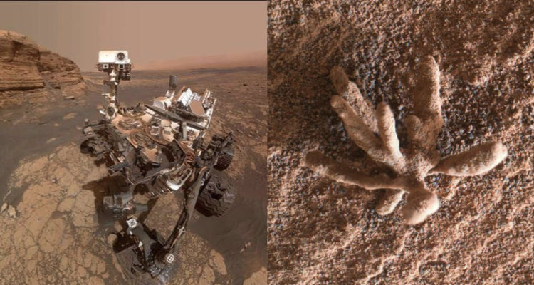 Captan una flor de cristales en Marte