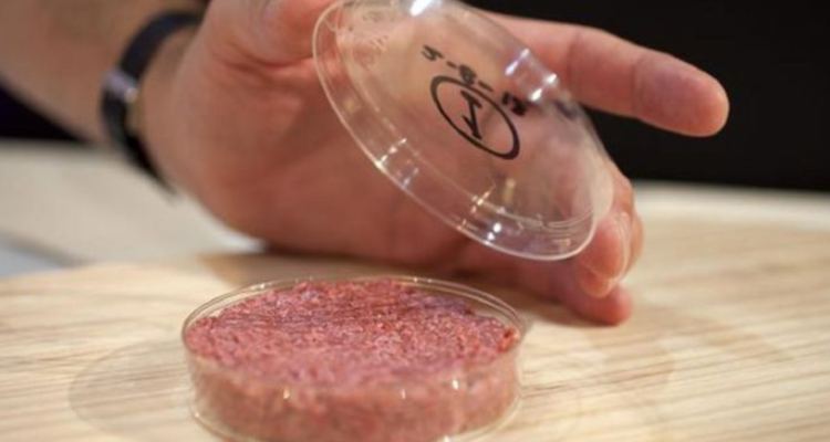 Avanza en Chile un proyecto de carne in vitro