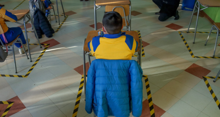 colegio de profesores