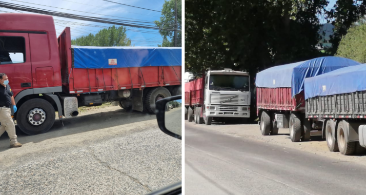 Encuentran muerto a conductor en Valdivia