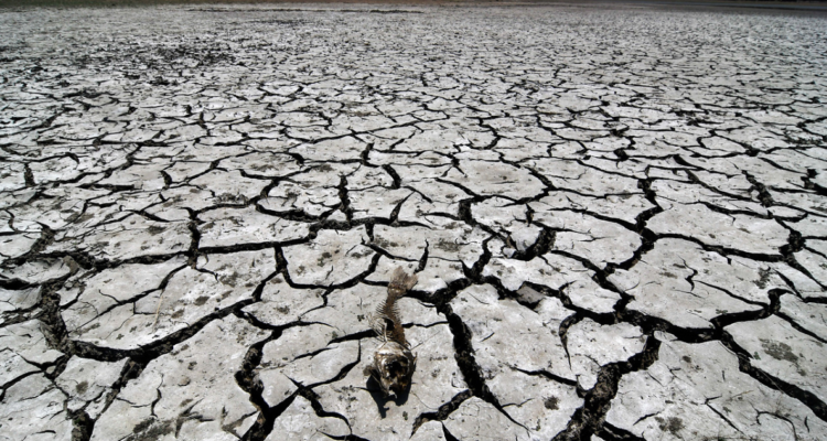 Corte de agua en Quemchi por crisis hídrica