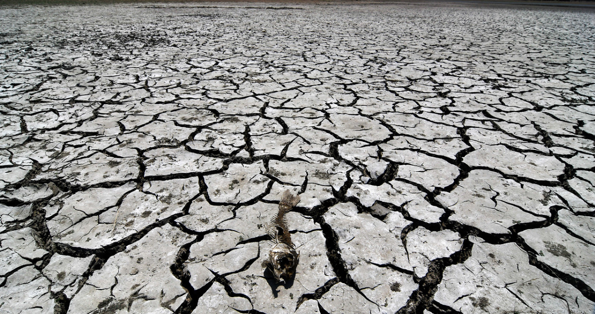 Corte de agua en Quemchi por crisis hídrica