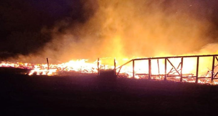 Al menos 4 cabañas incendiadas deja presunto ataque incendiario en Contulmo