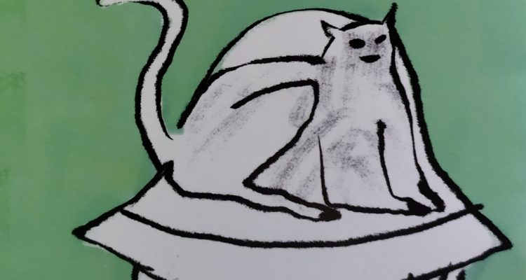 Detalle de la ortadsa de Pelusa Baby