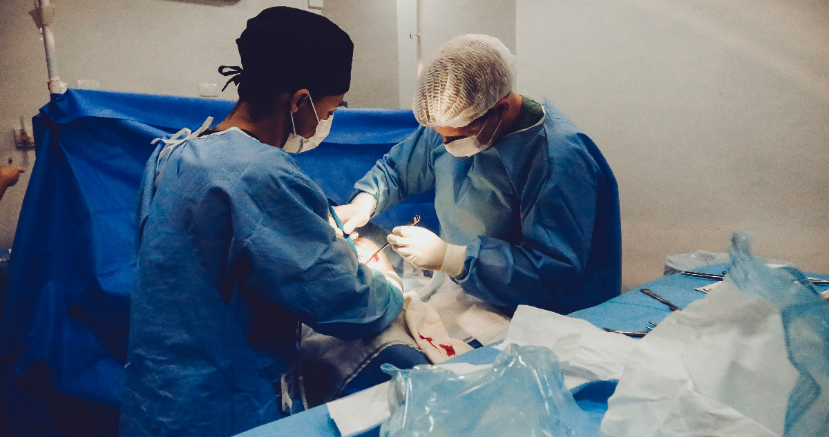 Dos médicos se encuentran operando a una persona. Se espera que los “órganos universales” puedan reducir listas de espera por órganos.
