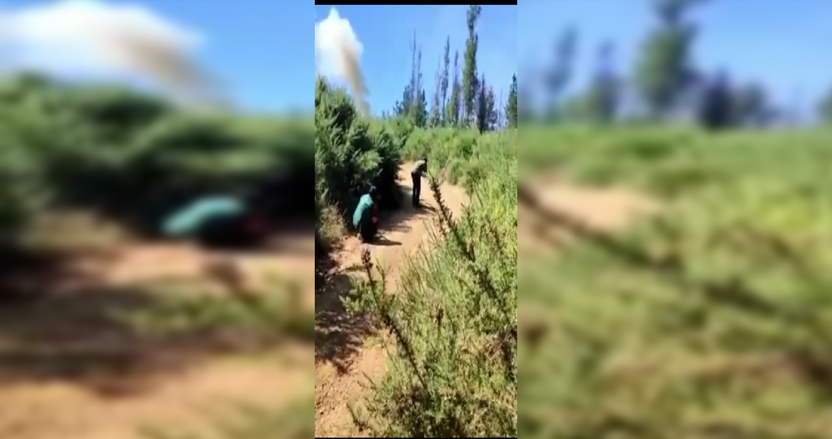 Confirman dos carabineros lesionados en La Araucanía