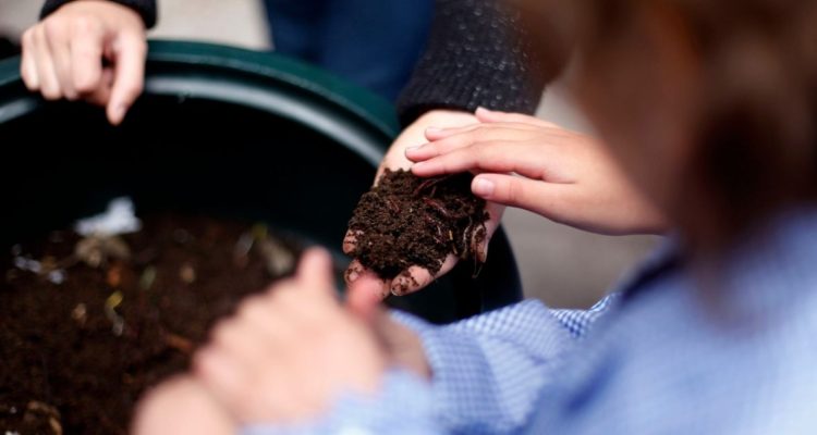 Columna de opinión Margarita Ducci: Más educación ambiental, menos crisis climática