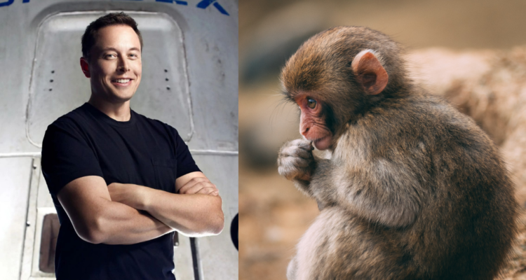elon-musk-monos