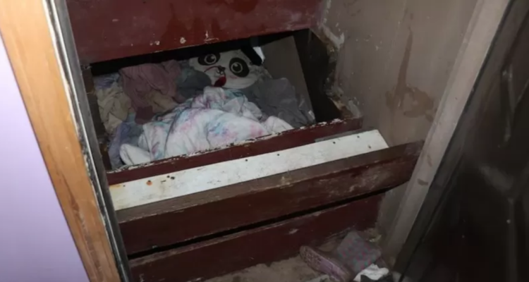 Encuentran con vida a niña desaparecida en 2019 en Estados Unidos