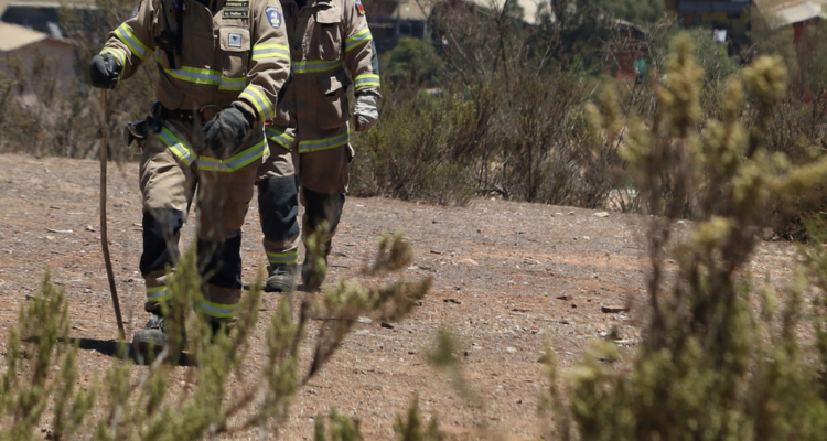 Encuentran con vida a adulta mayor perdida en Los Guindos