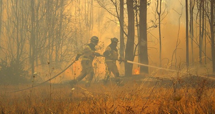 Incendio forestal El Carmen