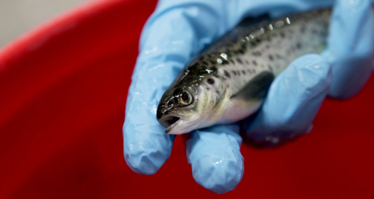 Encuentro AquaSur 2022