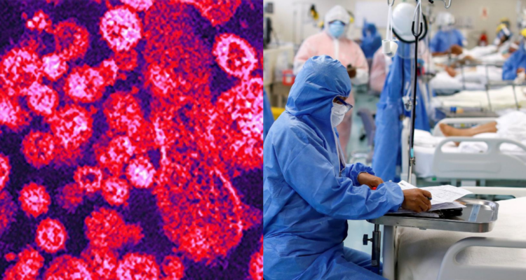 Paciente muere por fiebre de Lassa en Inglaterra