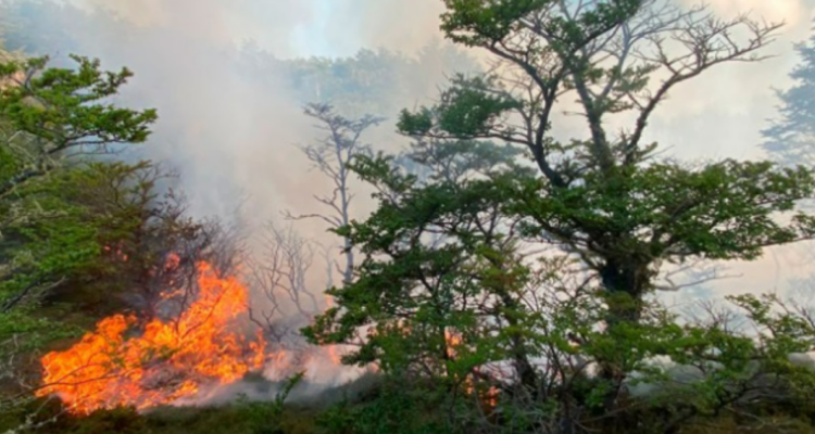 fiscalia indaga incendio en timaukel