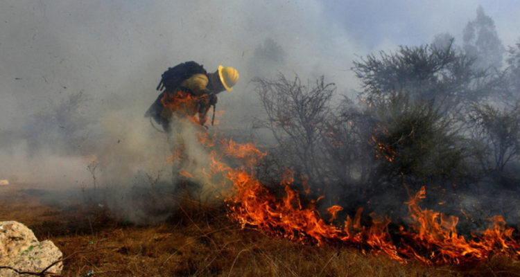 Una persona fallecida y casi 50 mil hectáreas afectadas dejan incendios forestales en La Araucanía