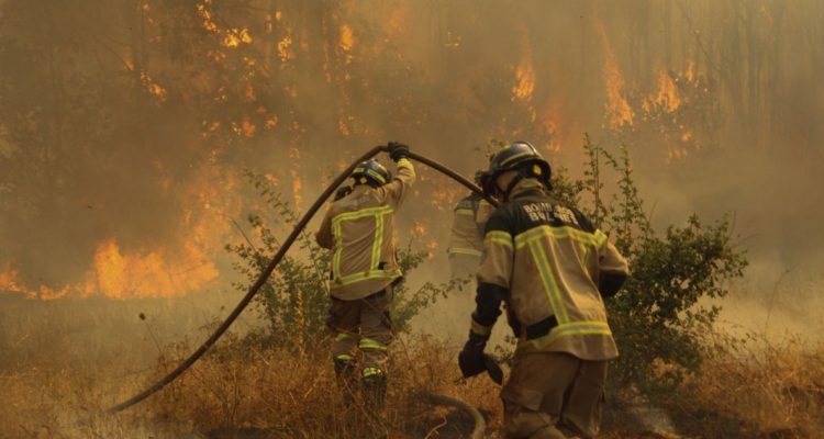 hectáreas consumidas incendios forestales