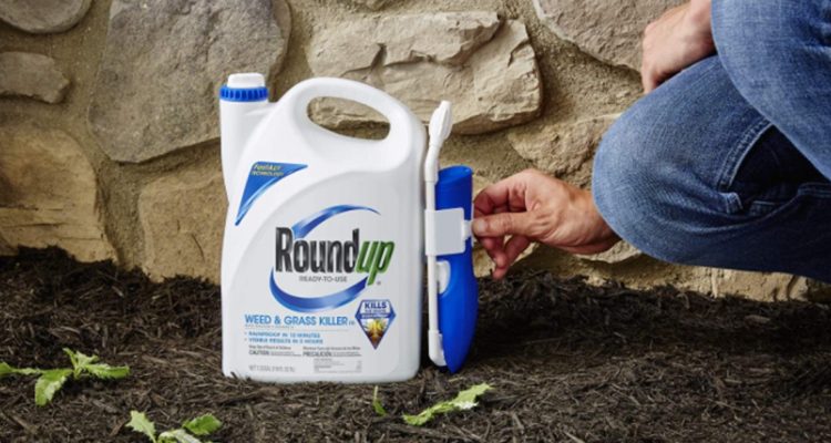 Reiteran llamado a que enfermos de cáncer en Chile que se expusieron a herbicida se sumen a demanda