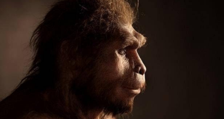 Homo Sapiens