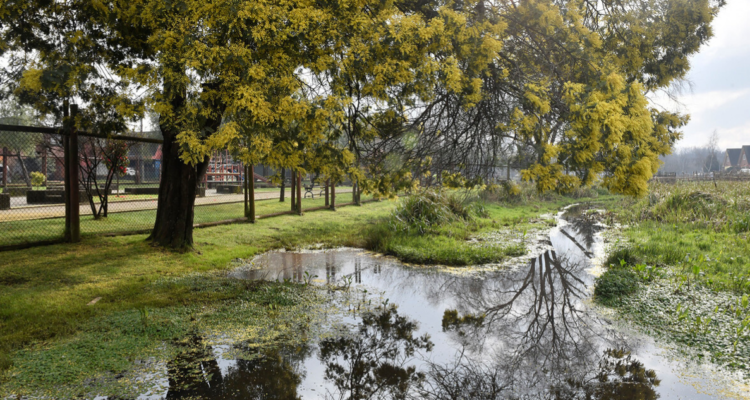 reclamaciones humedales urbanos Valdivia