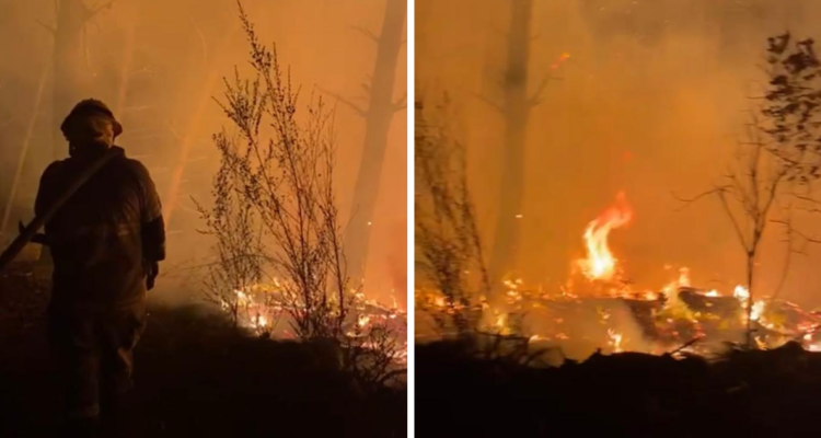 Incendio en cerro de la U de Talcahuano