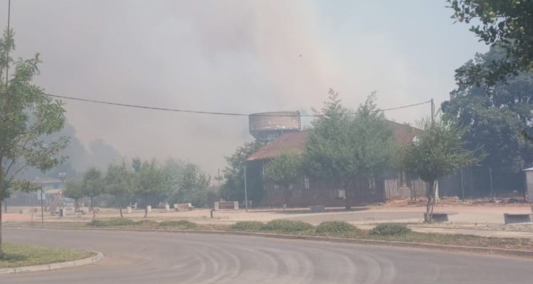 Incendio forestal en Collipulli