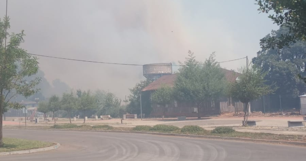 Incendio forestal en Collipulli