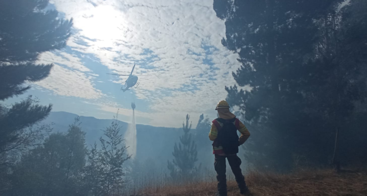 hectáreas incendios forestales