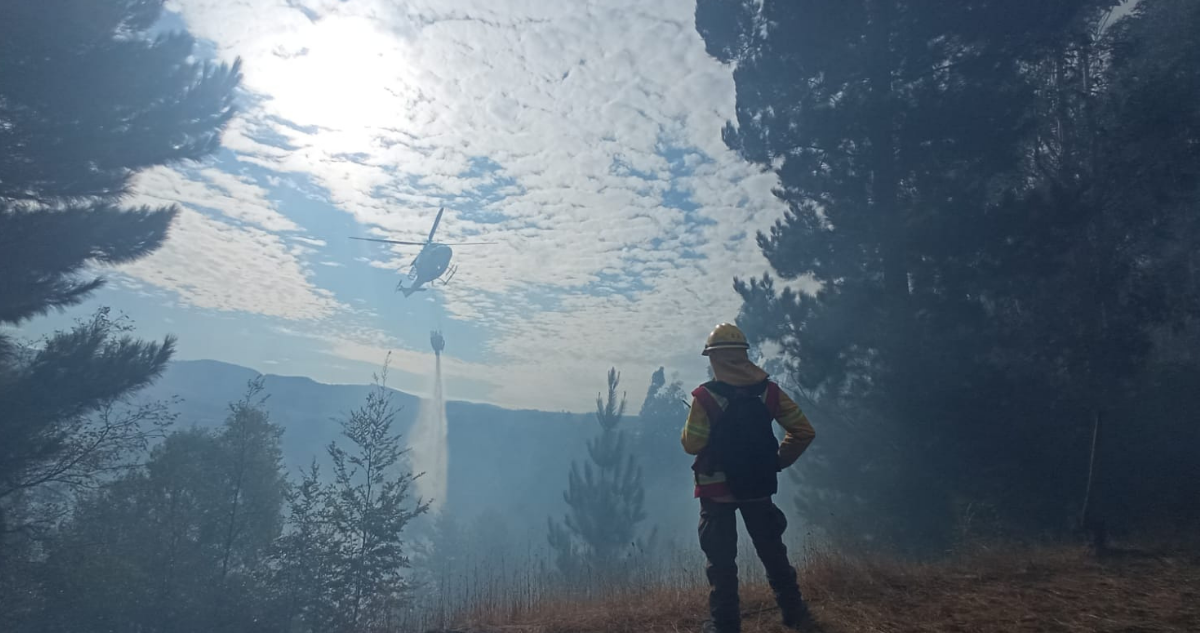 hectáreas incendios forestales