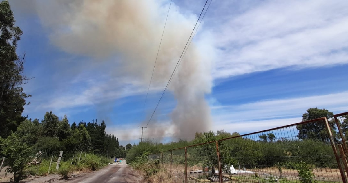 Incendio forestal en Santa Bárbara