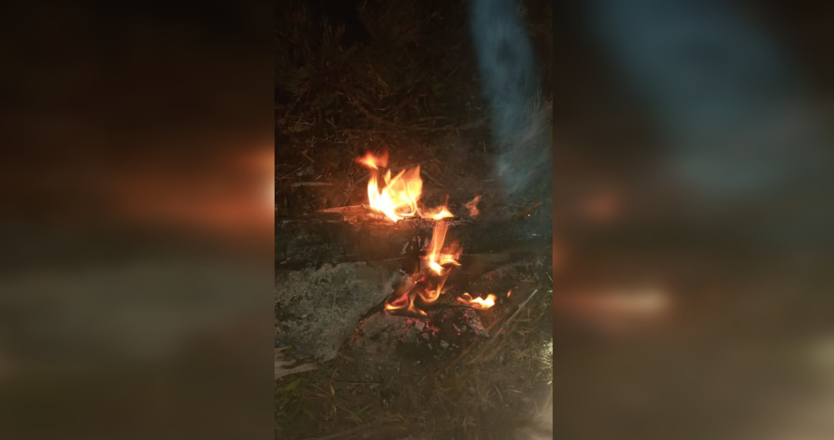 Alerta Roja Curarrehue incendio