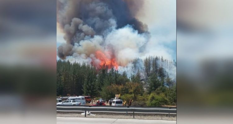 Incendio forestal en Casablanca