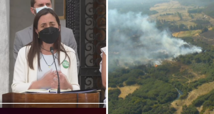 Gobierno insiste en intencionalidad en incendios forestales de La Araucanía