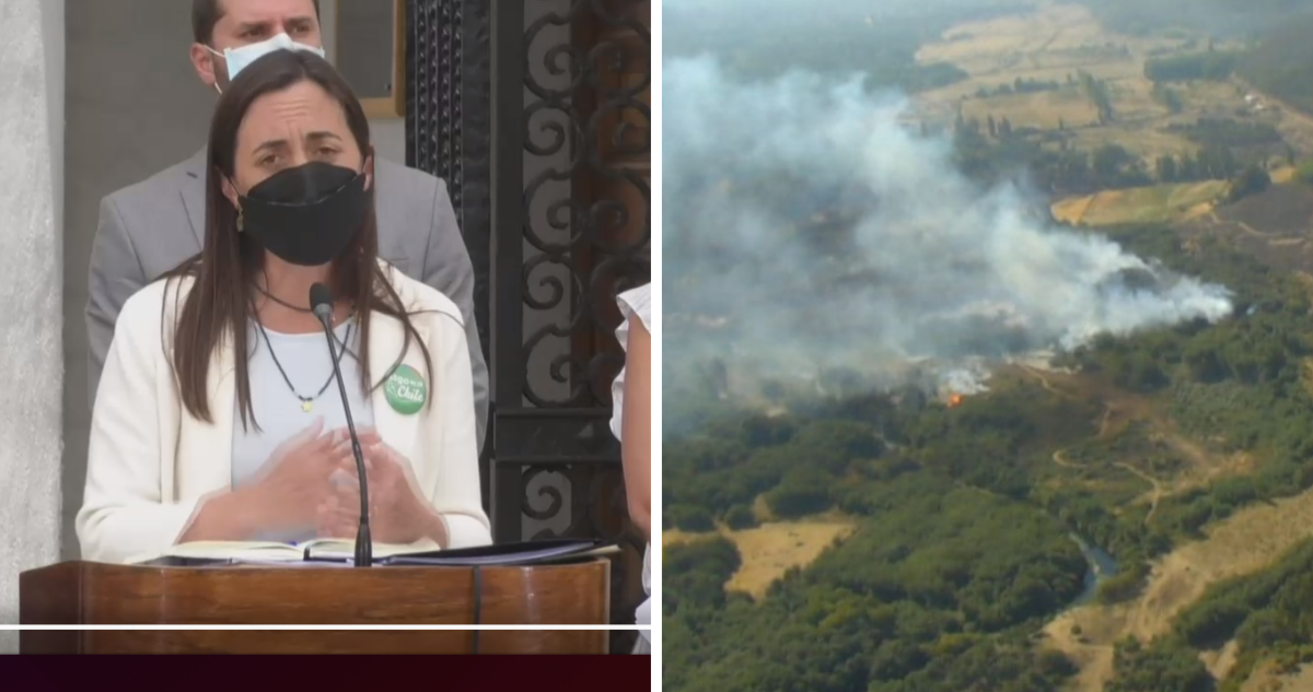 Gobierno insiste en intencionalidad en incendios forestales de La Araucanía