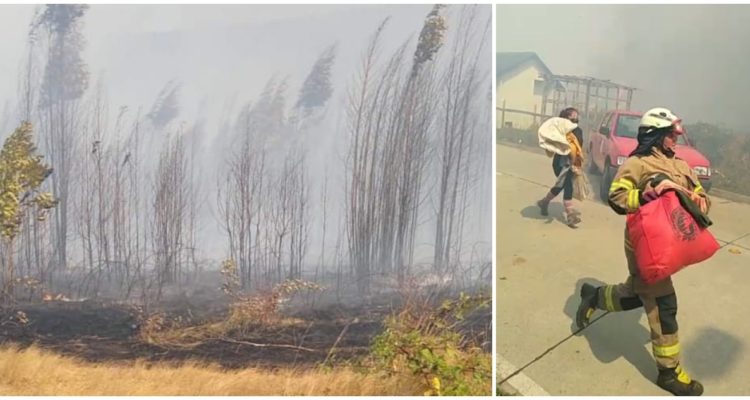 Incendio forestal con amenaza a viviendas