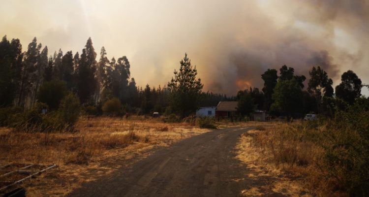 Alerta Roja por incendio forestal en Los Ángeles