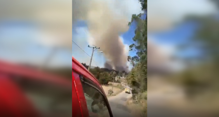 Alerta roja Penco incendio forestal