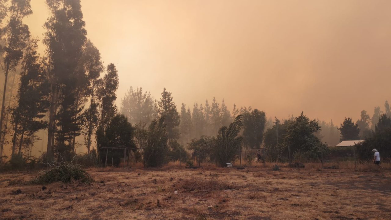 Incendio forestal en Santa Bárbara