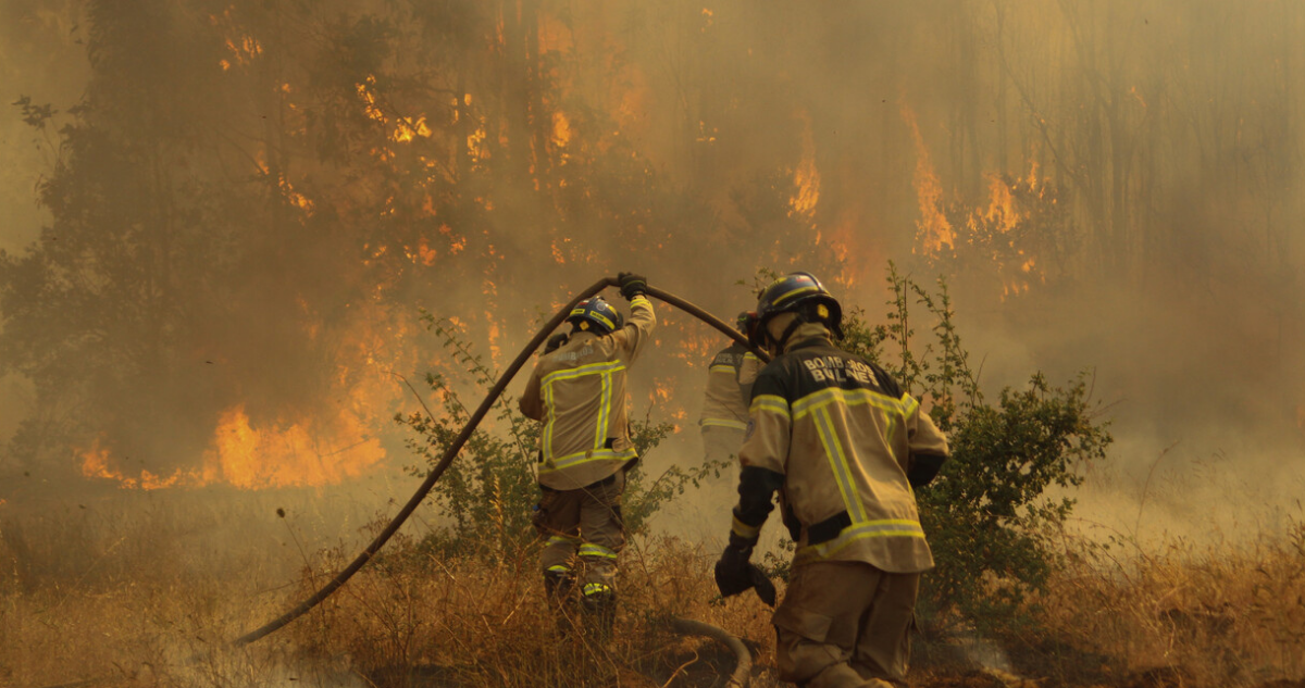 incendio-forestal.png