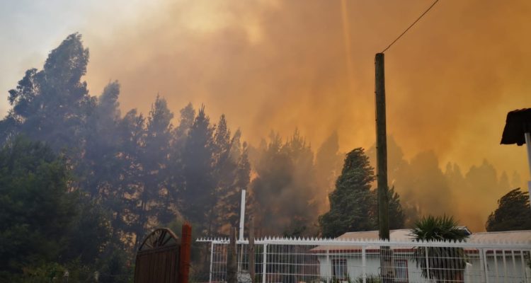 Alerta Roja en Los Ángeles por incendio forestal: Onemi emite orden de evacuación de sector Cuñibal