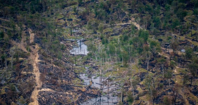 Incendio de turberas en Timaukel