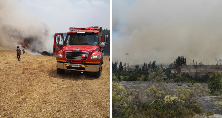 Declaran Alerta Roja para Lautaro y Melipeuco por agresivo avance de incendio forestal