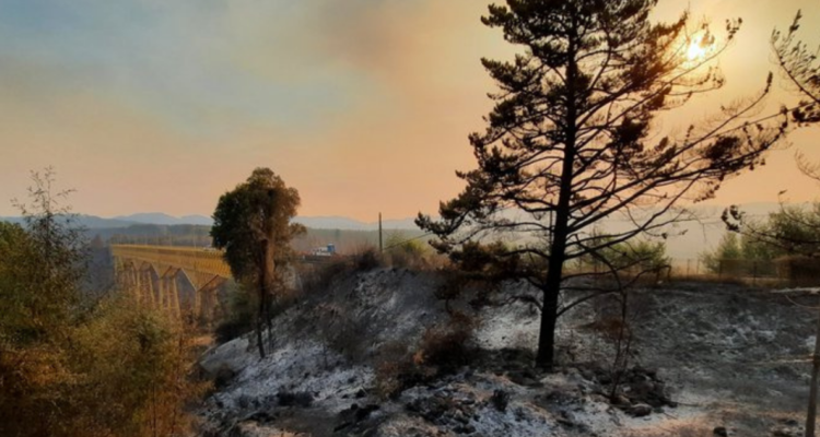 incendios forestales en la araucania