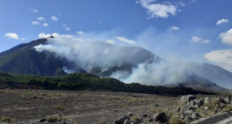 Incendios forestales en La Araucanía