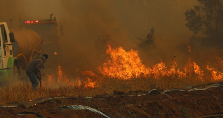 Incendios forestales en La Araucanía.