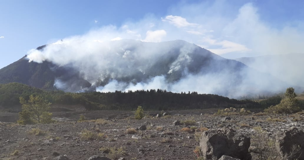 Incendios forestales en La Araucanía