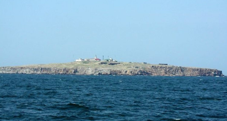 “Váyanse a la m…”: 13 soldados ucranianos responden a rusos y mueren tras negarse a rendirse